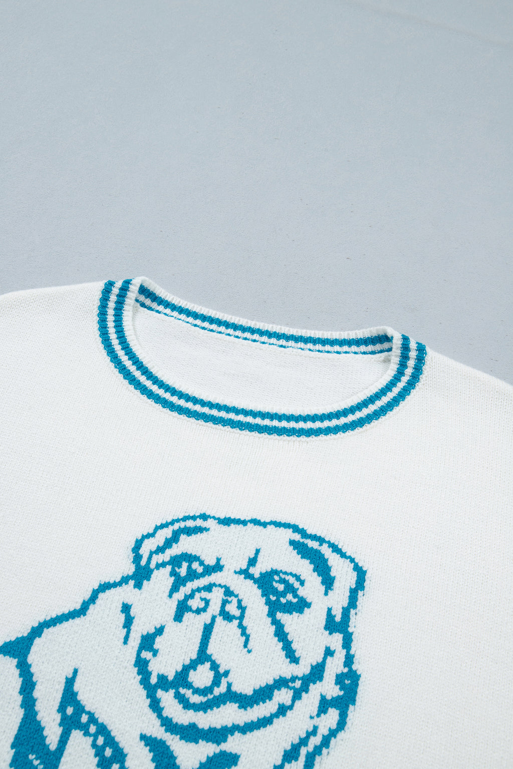 Light Blue Bulldog Contrast Trim Round Neck Casual Sweater