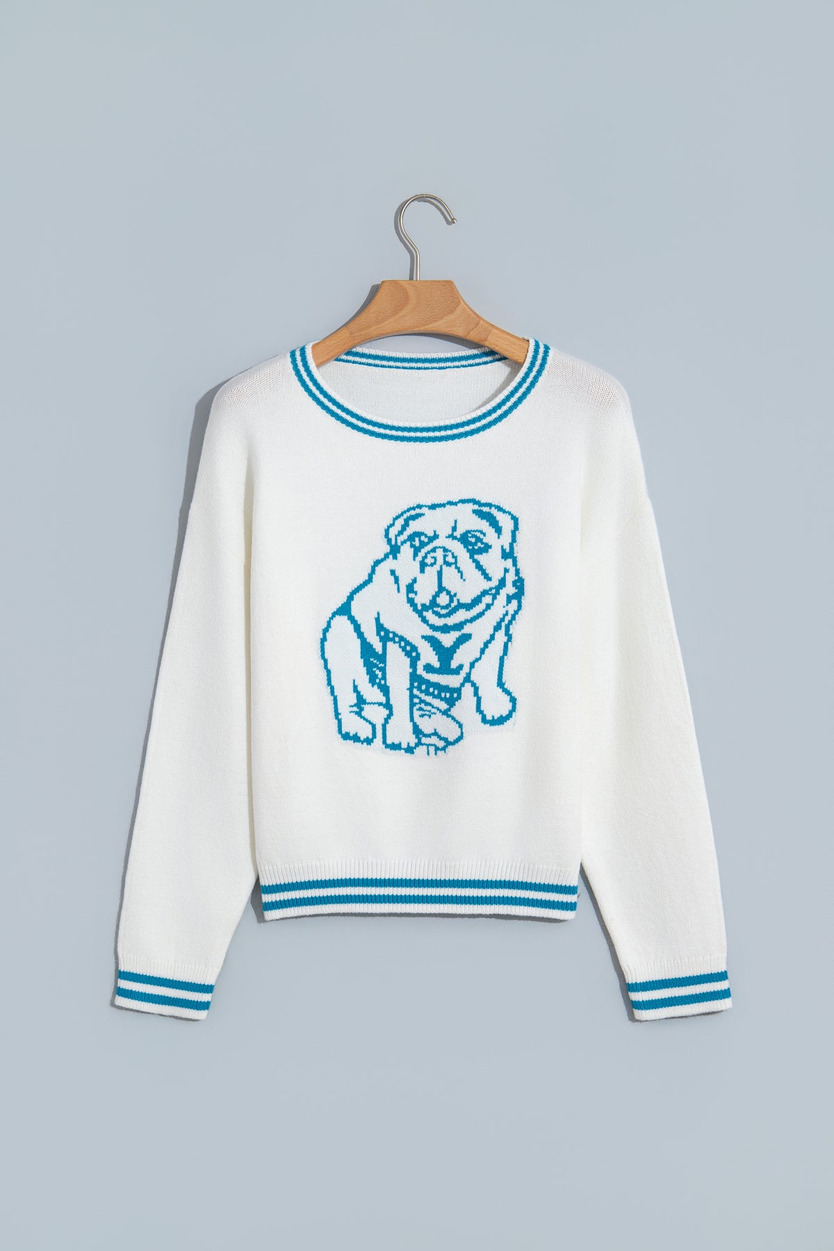 Light Blue Bulldog Contrast Trim Round Neck Casual Sweater