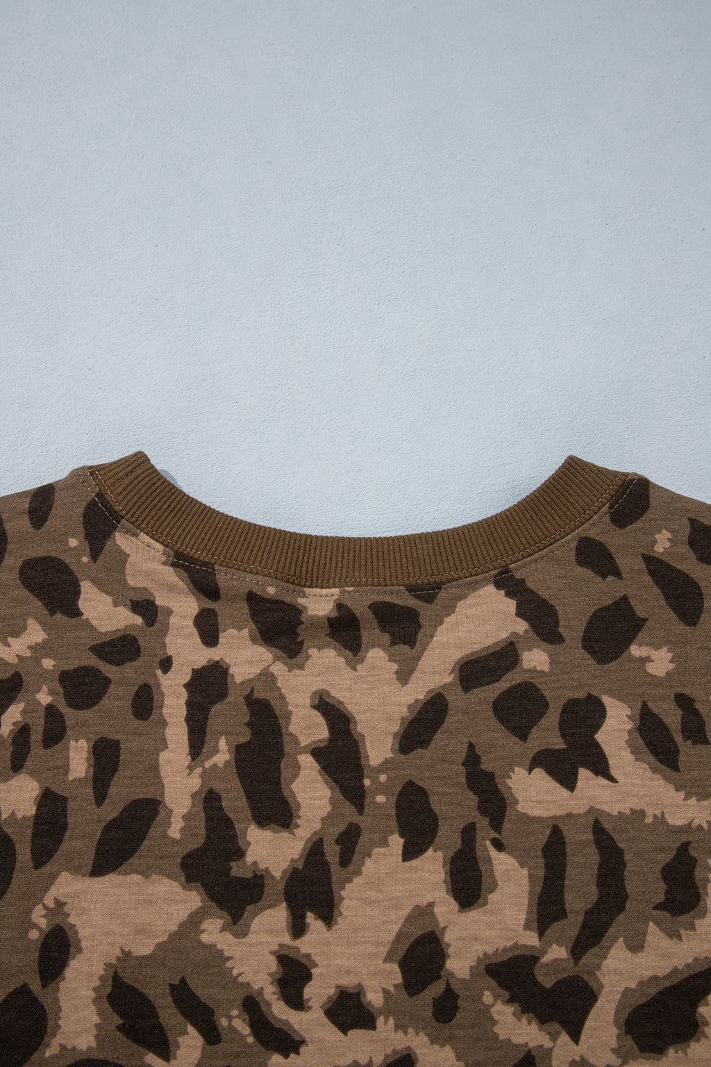 Brown Leopard Print Striped Detail Relaxed Pullover Sweatshirt