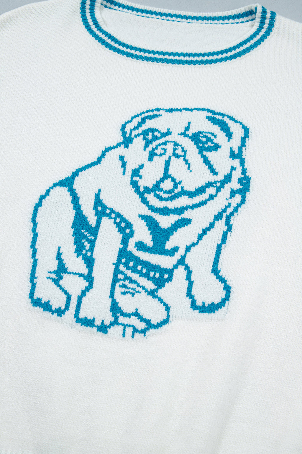 Light Blue Bulldog Contrast Trim Round Neck Casual Sweater