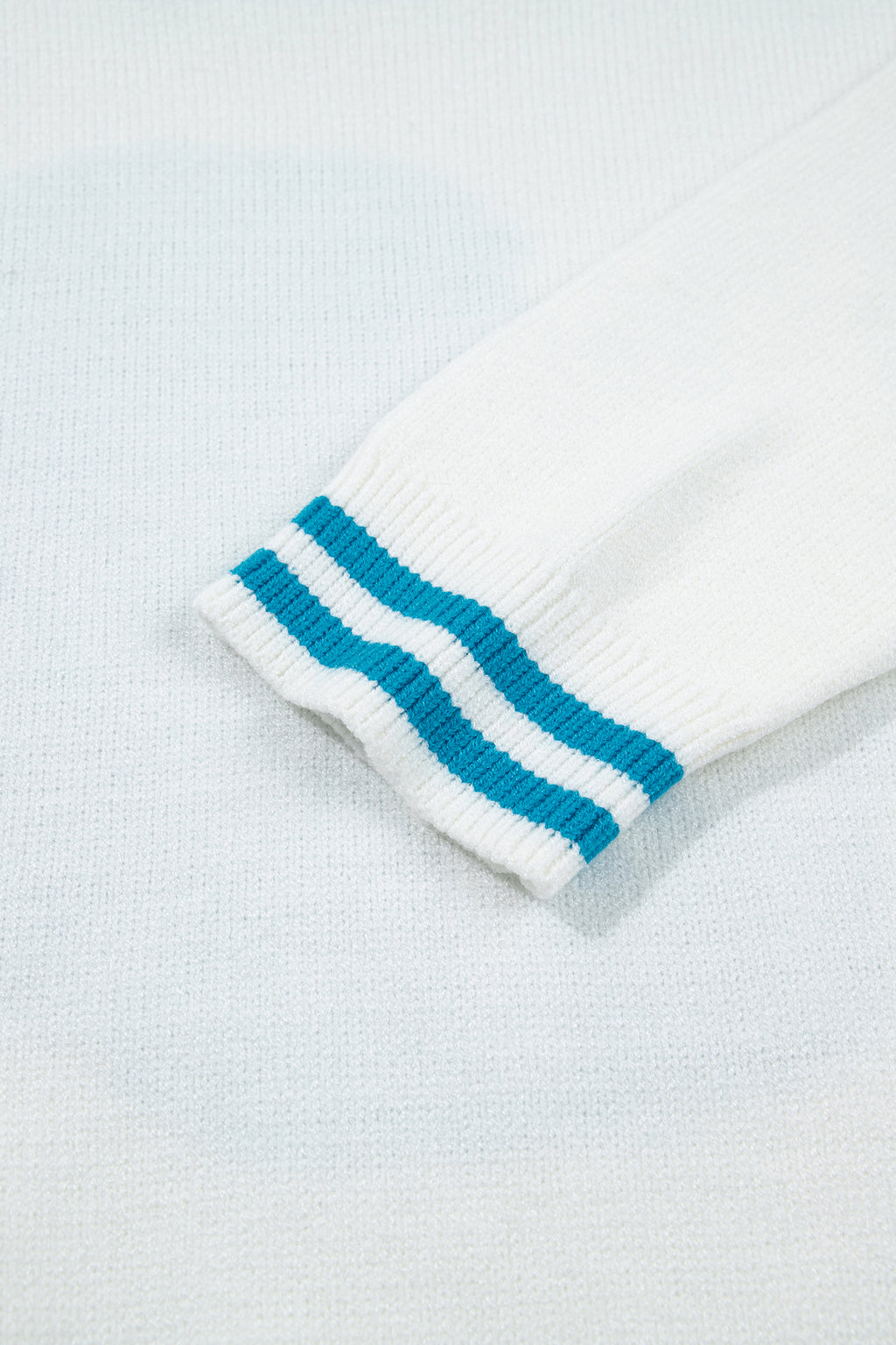 Light Blue Bulldog Contrast Trim Round Neck Casual Sweater