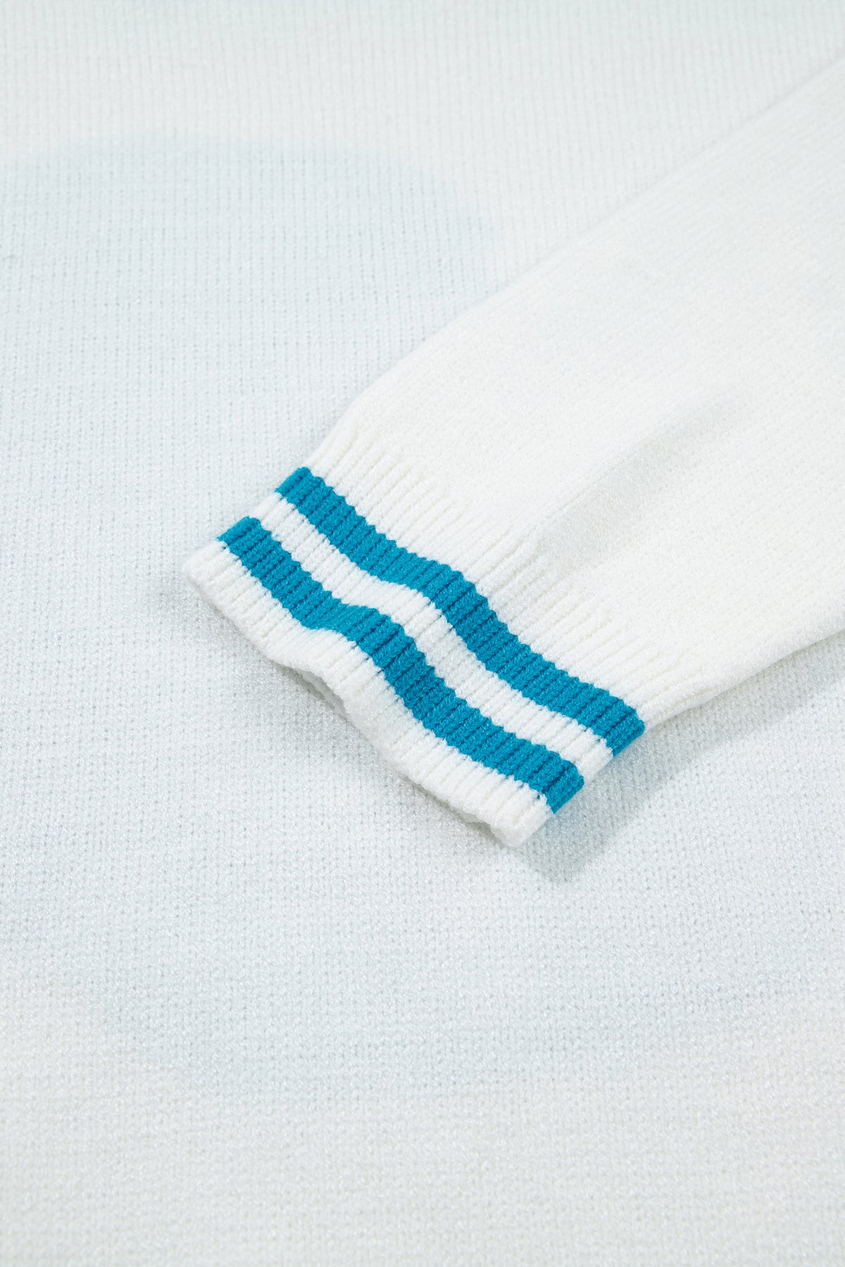 Light Blue Bulldog Contrast Trim Round Neck Casual Sweater