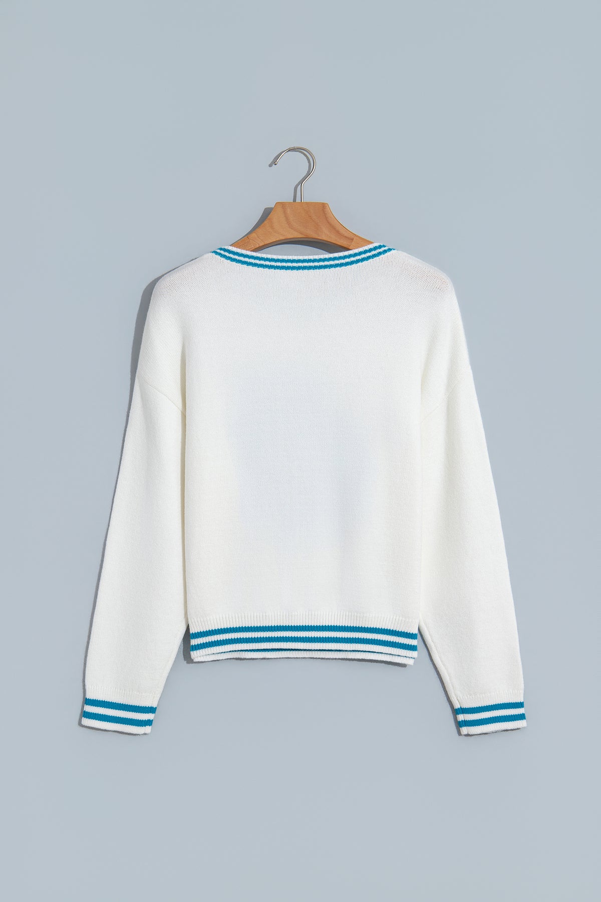Light Blue Bulldog Contrast Trim Round Neck Casual Sweater